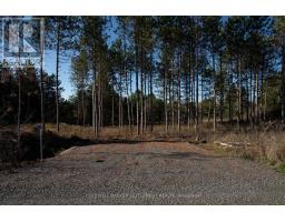 1015 Concession 5 A Road, Lanark Highlands, ON K0G1K0 Photo 3