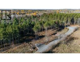 1007 Concession 5 A Road, Lanark Highlands, ON K0G1K0 Photo 2