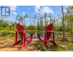 429571 8th B Concession, Grey Highlands, ON N0C1M0 Photo 3