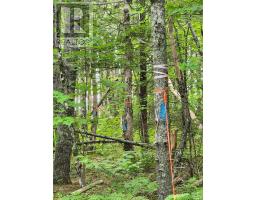 Lot 73 Baker Point Road, Molega, NS B0T1X0 Photo 5