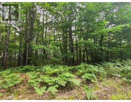Lot 73 Baker Point Road, Molega, NS B0T1X0 Photo 4
