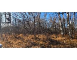 4832 46 Street, Mirror, AB T0B3C0 Photo 2