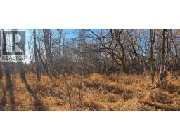 4832 46 Street, Mirror, AB T0B3C0 Photo 3