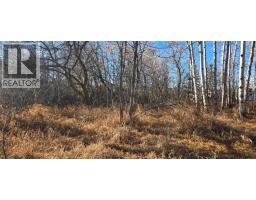 4832 46 Street, Mirror, AB T0B3C0 Photo 4