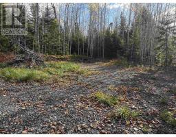 Lot 8 Shady Lane, Loch Broom, NS B0K1H0 Photo 4