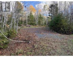 Lot 8 Shady Lane, Loch Broom, NS B0K1H0 Photo 5