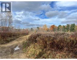 02 Hall Road, Upper Mills, NB E3L5W8 Photo 3