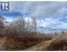 02 Hall Road, Upper Mills, NB E3L5W8 Photo 4