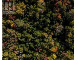 87 1 Falkenham Road, East Dalhousie, NS B0R1H0 Photo 5