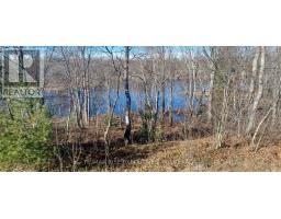 Lt 21 Con 9 Kaladar, Addington Highlands, ON K0H2G0 Photo 4