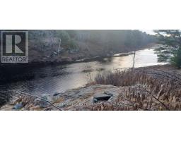 Lt 21 Con 9 Kaladar, Addington Highlands, ON K0H2G0 Photo 5