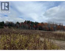 01 Hall Road, Mohannes, NB E3L5V8 Photo 4