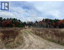01 Hall Road, Mohannes, NB E3L5V8 Photo 5