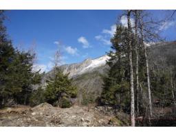 Sv 103 Old Hope Princeton Highway Sunshine Valley, Hope, BC V0X1L5 Photo 2