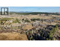 Lot 1 97 Highway, Lac La Hache, BC V0K1T0 Photo 2