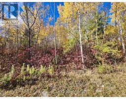 Lt 15 Plan 834 Grey Road 1, Georgian Bluffs, ON N0H1S0 Photo 4