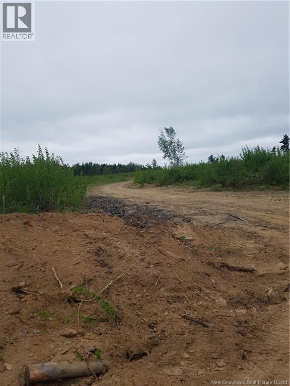 Lot 1 Clearwater Brook