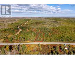 Acreage No 7 Highway, Harrigan Cove, NS B0J2K0 Photo 2