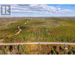Acreage No 7 Highway, Harrigan Cove, NS B0J2K0 Photo 3