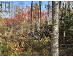 Lot Willow Lane, Image 2