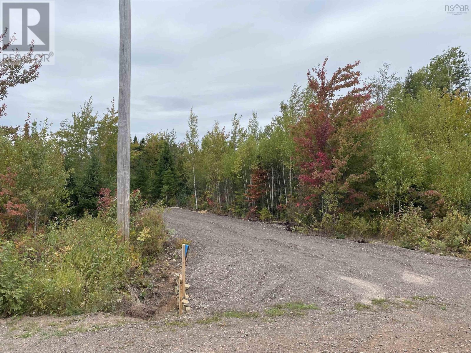 967 College Grant Road