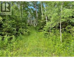 755 Cape Road, Image 3