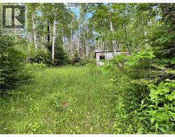 755 Cape Road, Newburg, NB E7N1W5 Photo 4