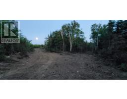 0 Port Morien Drive, Port Morien, NS B1B1P1 Photo 5