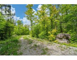 41 Stonehedge Road, Stone Mills, ON K0K2L0 Photo 4