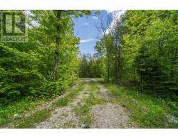 41 Stonehedge Road, Stone Mills, ON K0K2L0 Photo 5