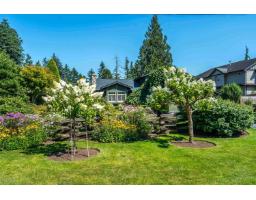 4226 199 A Street, Langley, BC V3A4V6 Photo 4