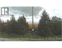 V L East Ruscom River Unit Middle Lot, Lakeshore, ON N0R1S0 Photo 4