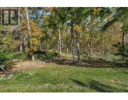 Recreational, Games room - 149 Lakebreeze Road, Kawartha Lakes, ON K0M1N0 Photo 5