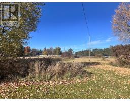 211 Queen Street W, Springwater, ON L0L1P0 Photo 4