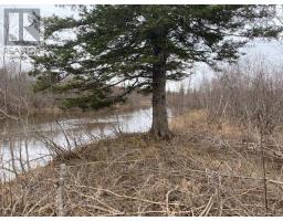 Barren Road, Image 2