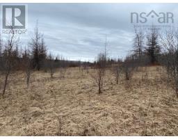 Barren Road, Image 3