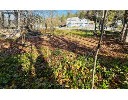 285 Main Street S, Guelph Eramosa, ON N0B2K0 Photo 3