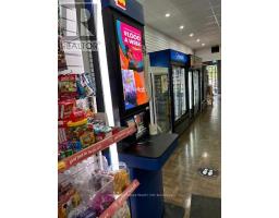 963 Eglinton Avenue W, Toronto, ON M6C2C4 Photo 4