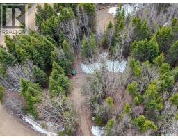 209 Poplar Crescent, Paddockwood Rm No 520, SK S0J1Z0 Photo 4