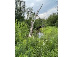 3316 Thomson Road, Hansford, NS B0M1P0 Photo 4