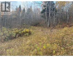 449 Harriet Oree Road, Sussex, NB E4E0H2 Photo 4