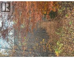 449 Harriet Oree Road, Sussex, NB E4E0H2 Photo 5