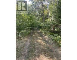 Old Mulgrave Road, Monastery, NS B0H1W0 Photo 2