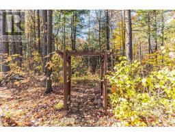 Other - 1096 Sunnidale Road, Springwater, ON L9X0R9 Photo 4