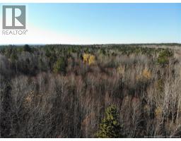 10552 Route 10, Youngs Cove, NB E4C2E2 Photo 2