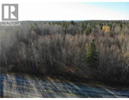 10552 Route 10, Youngs Cove, NB E4C2E2 Photo 3