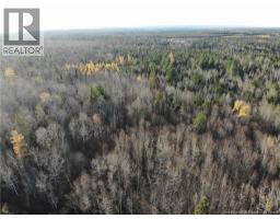 10552 Route 10, Youngs Cove, NB E4C2E2 Photo 4