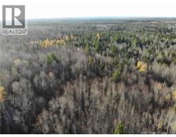 10552 Route 10, Youngs Cove, NB E4C2E2 Photo 5