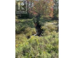 Lot Highway 10, Dalhousie, NS B0R1H0 Photo 4