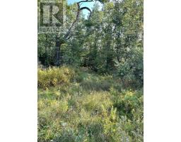 Lot Highway 10, Dalhousie, NS B0R1H0 Photo 2